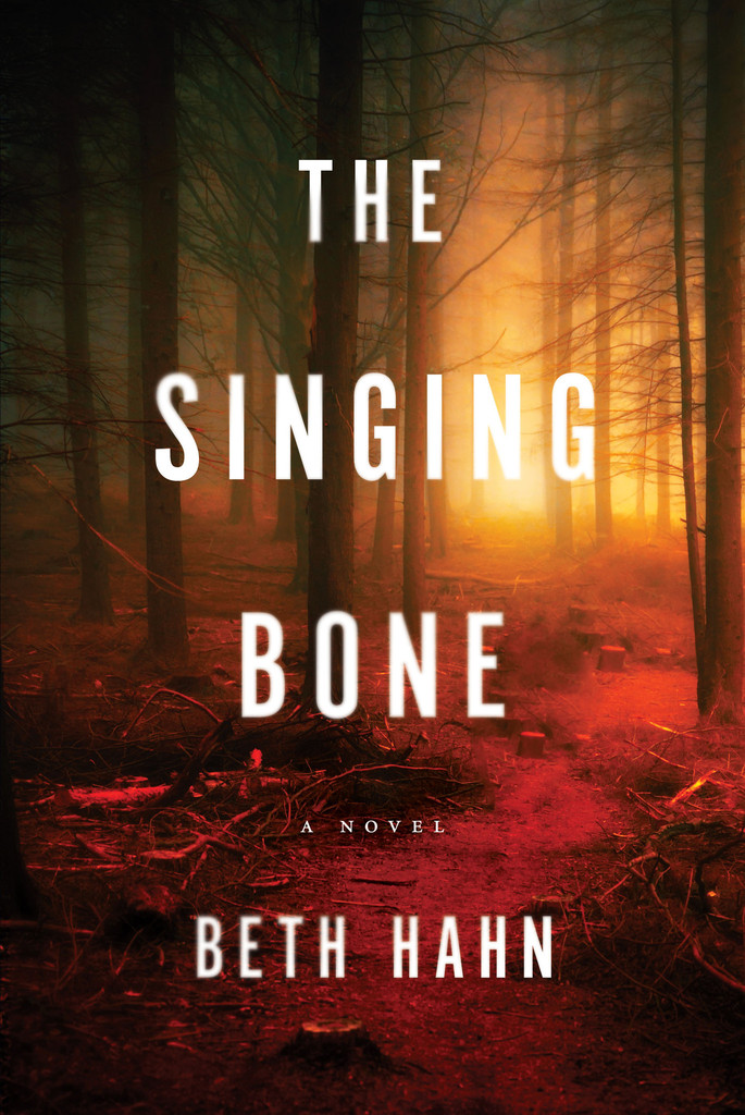 Book cover of the singing bone